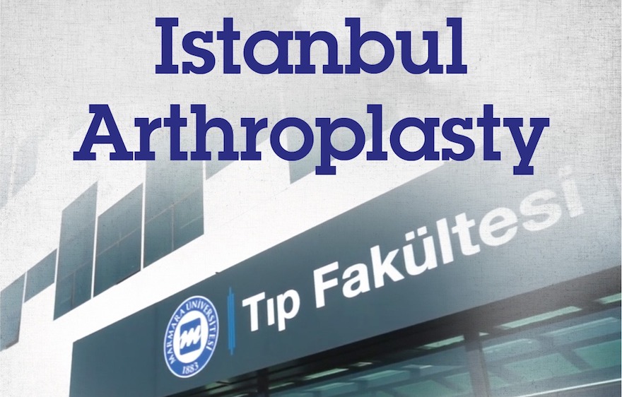 Primary and Revision Total Hip Arthroplasty Course 2019, September 6-7, 2019, Marmara University School of Medicine, Istanbul, Turkey